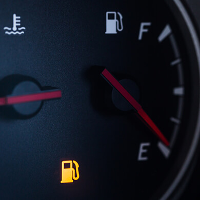 Transportation & More