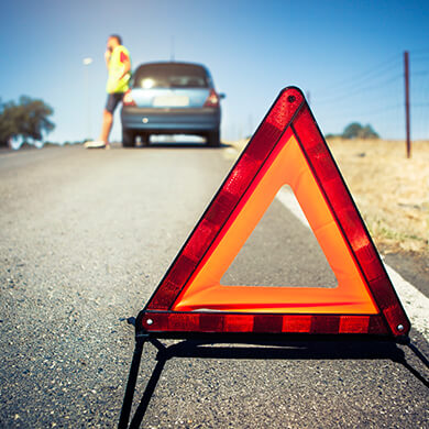 Transportation & More